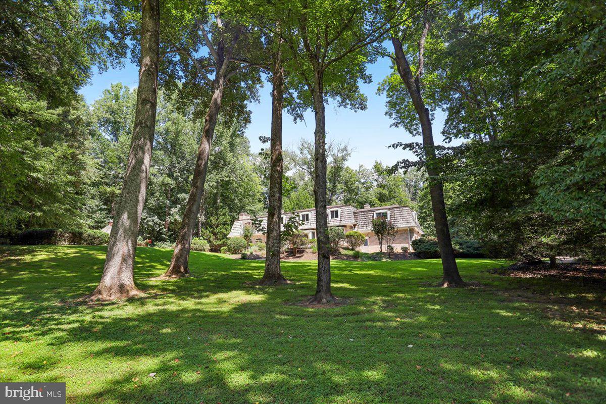 6310 Windpatterns Trl Property Photo 62