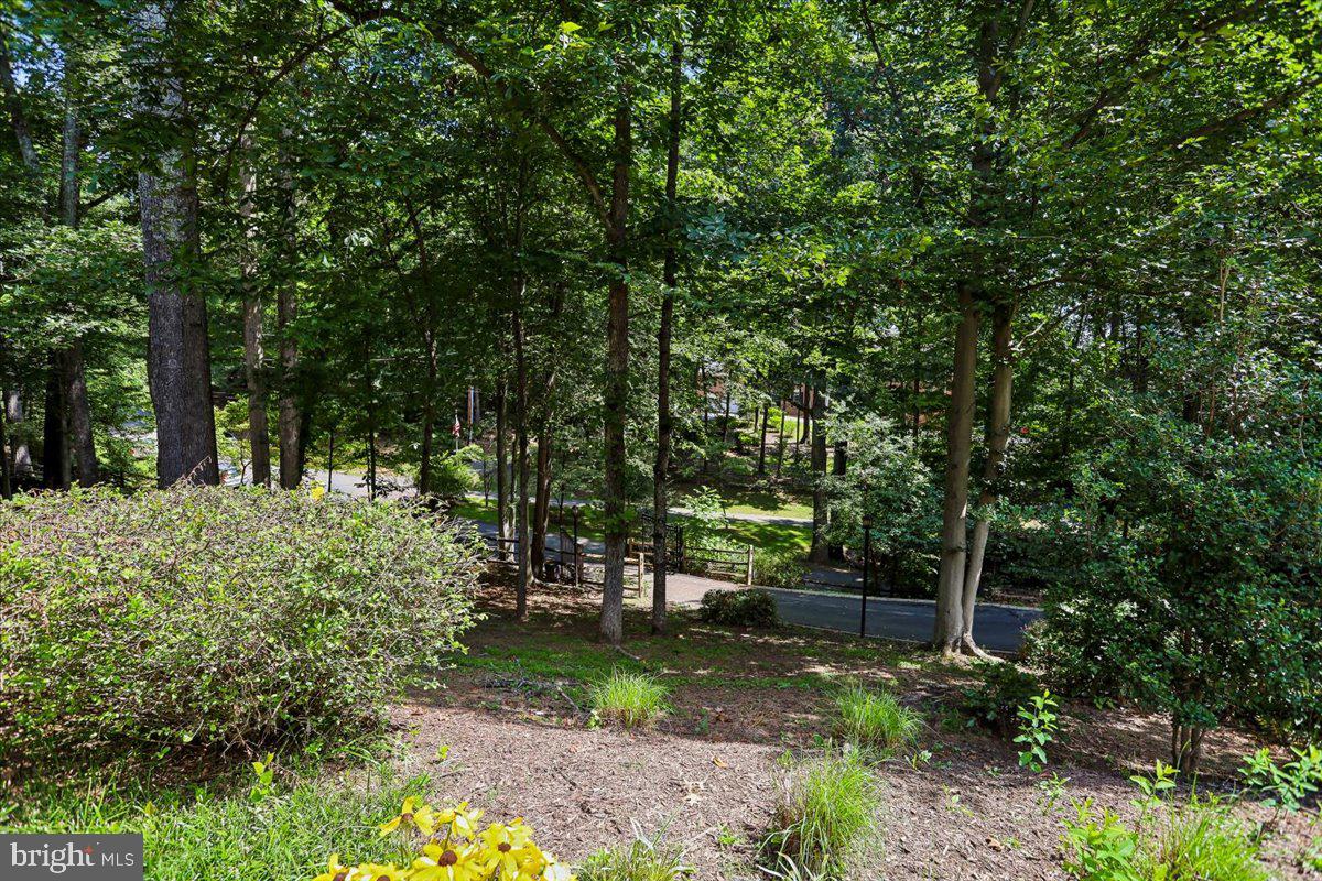 6310 Windpatterns Trl Property Photo 69