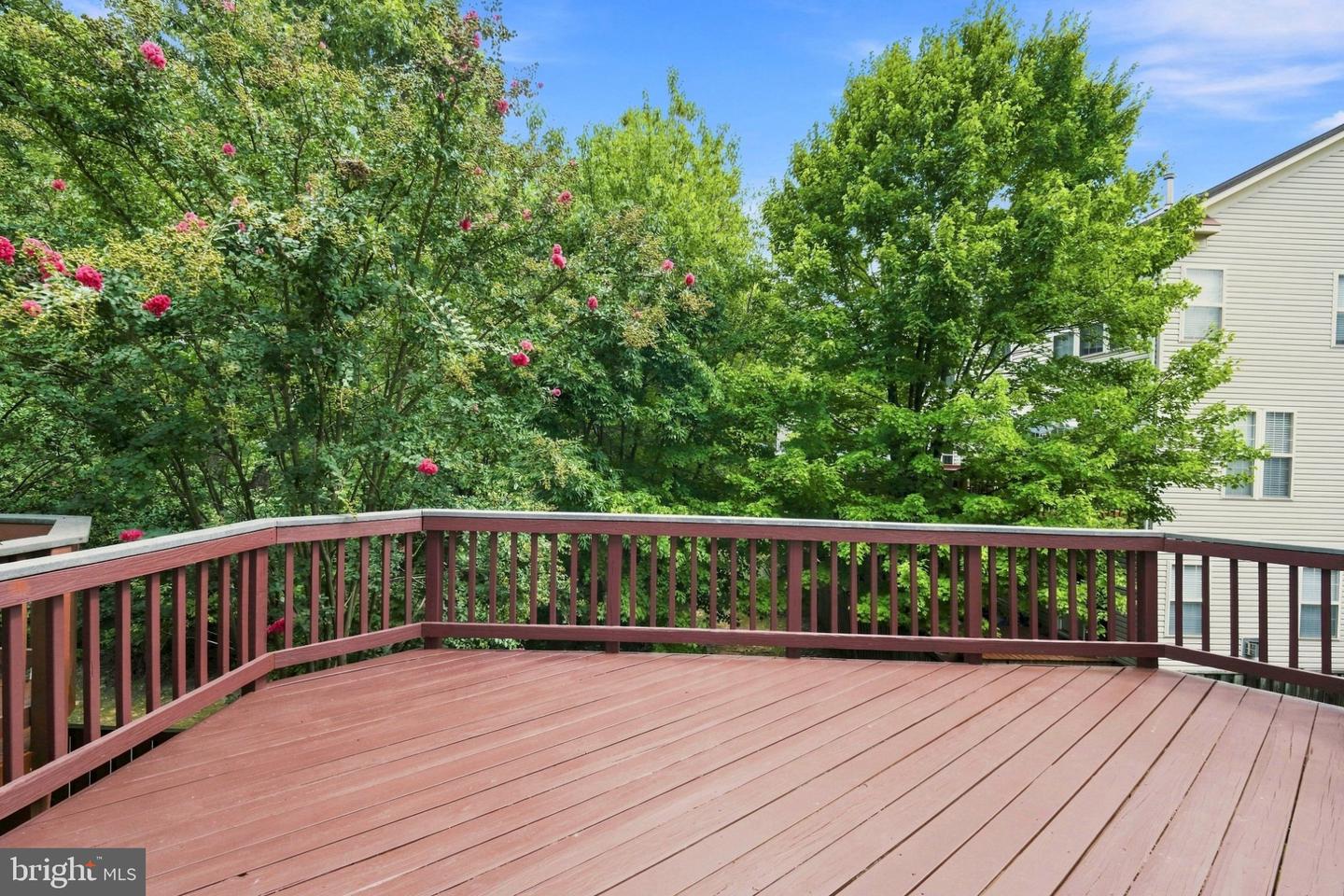 8557 Wyngate Manor Ct Property Photo 4