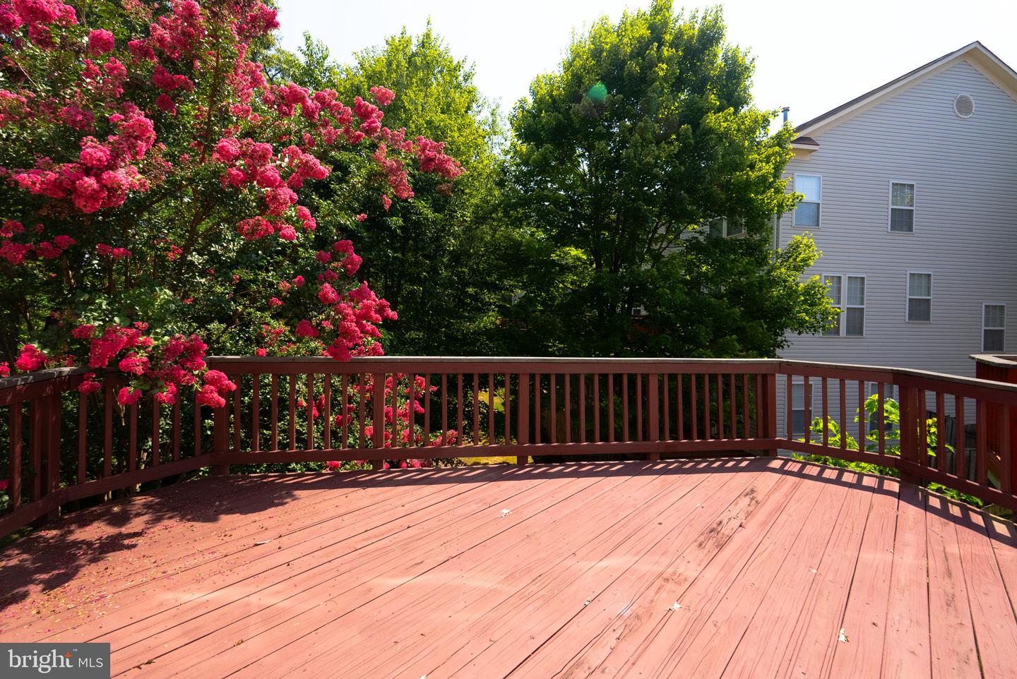8557 Wyngate Manor Ct Property Photo 30