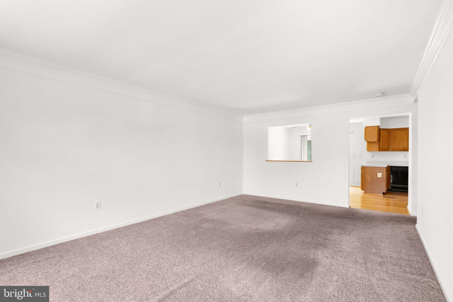 7369 Rhondda Dr Property Photo 10
