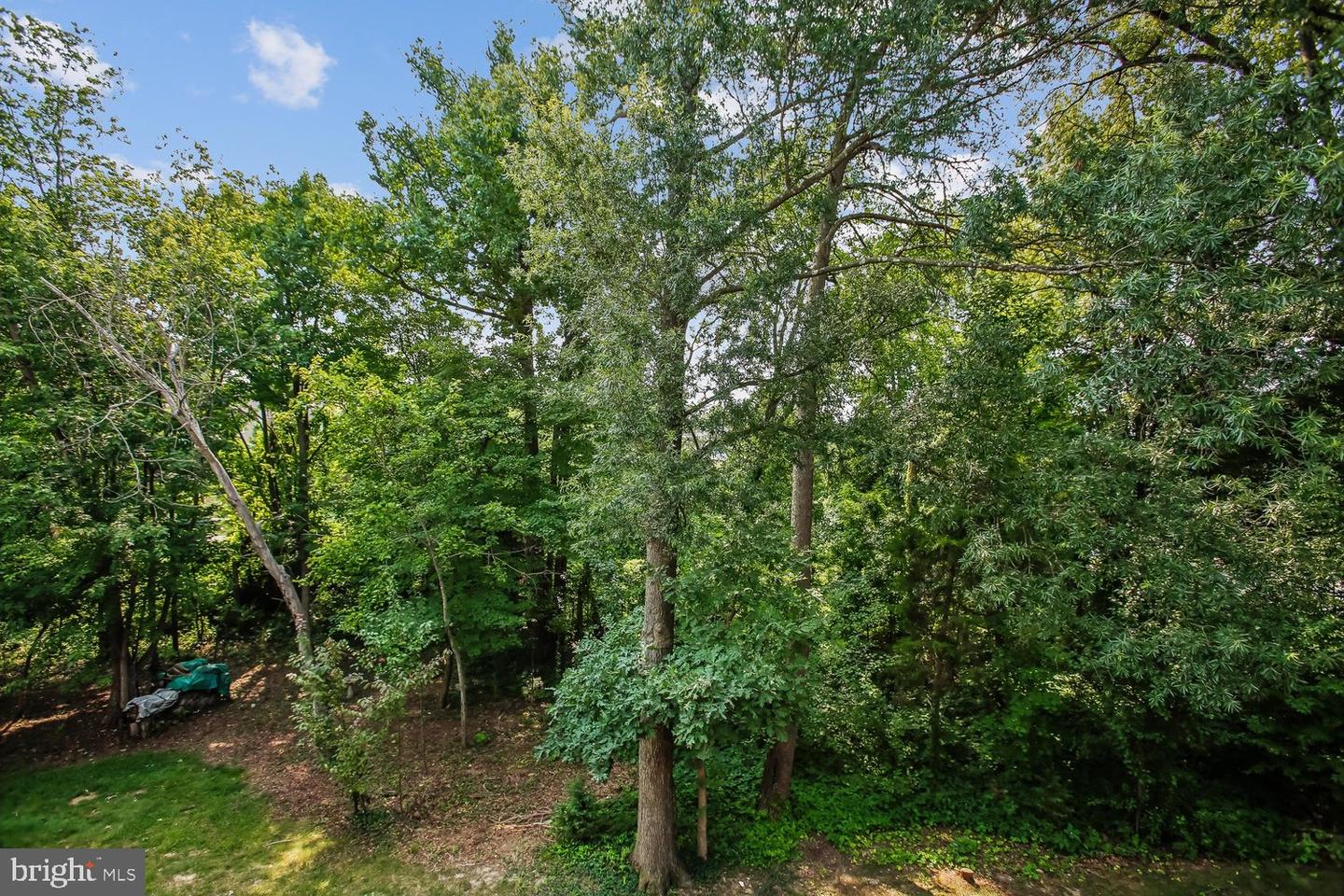 5944 Norham Dr Property Photo 64