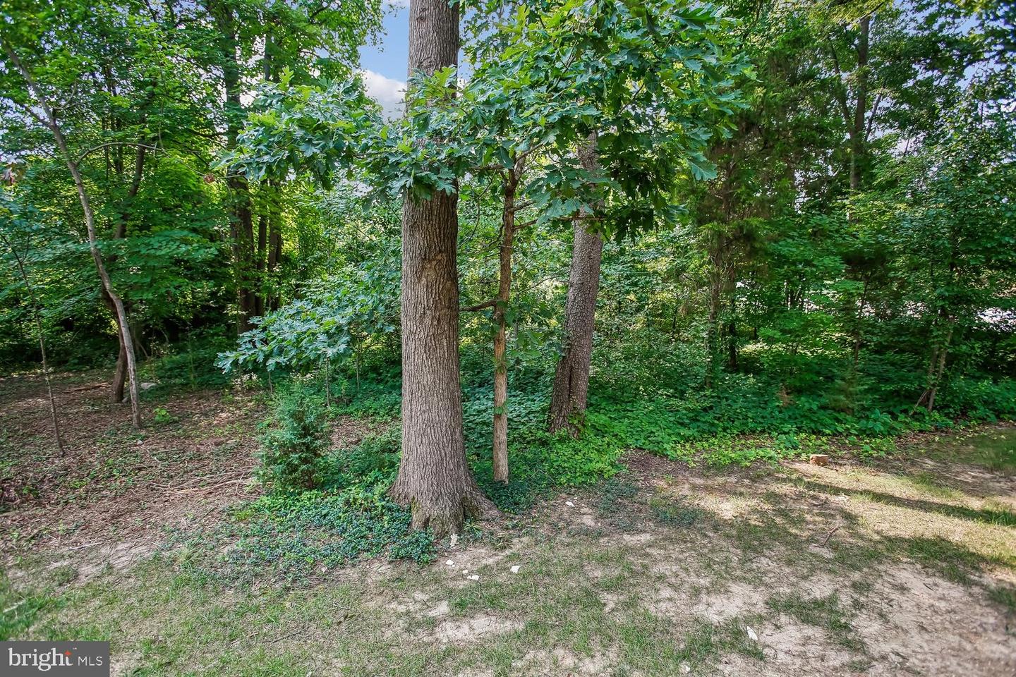 5944 Norham Dr Property Photo 74