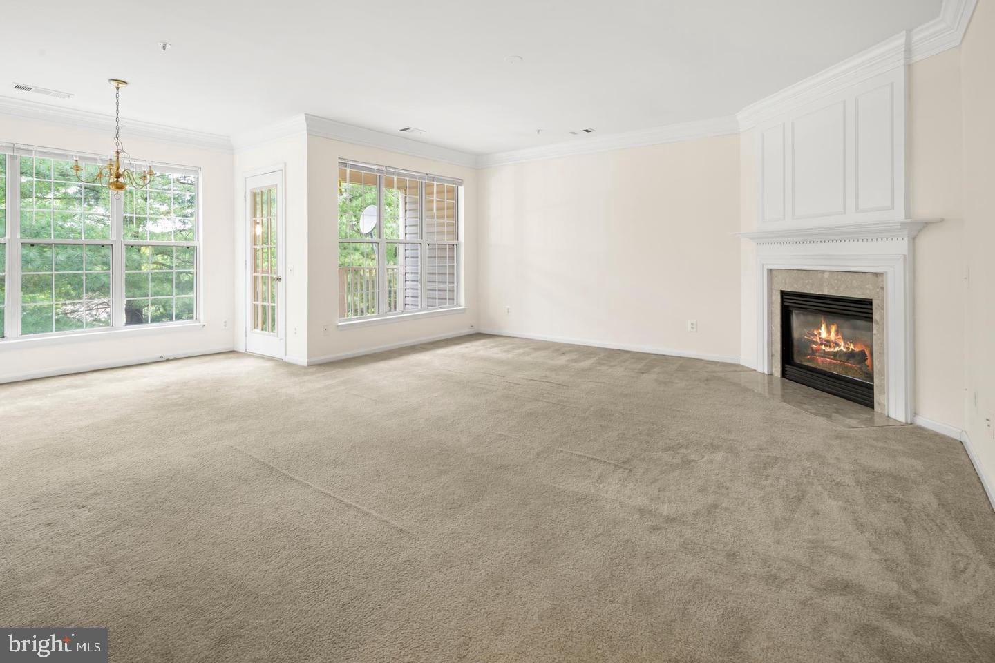 7014 Metropolitan Pl #302 Property Photo 4