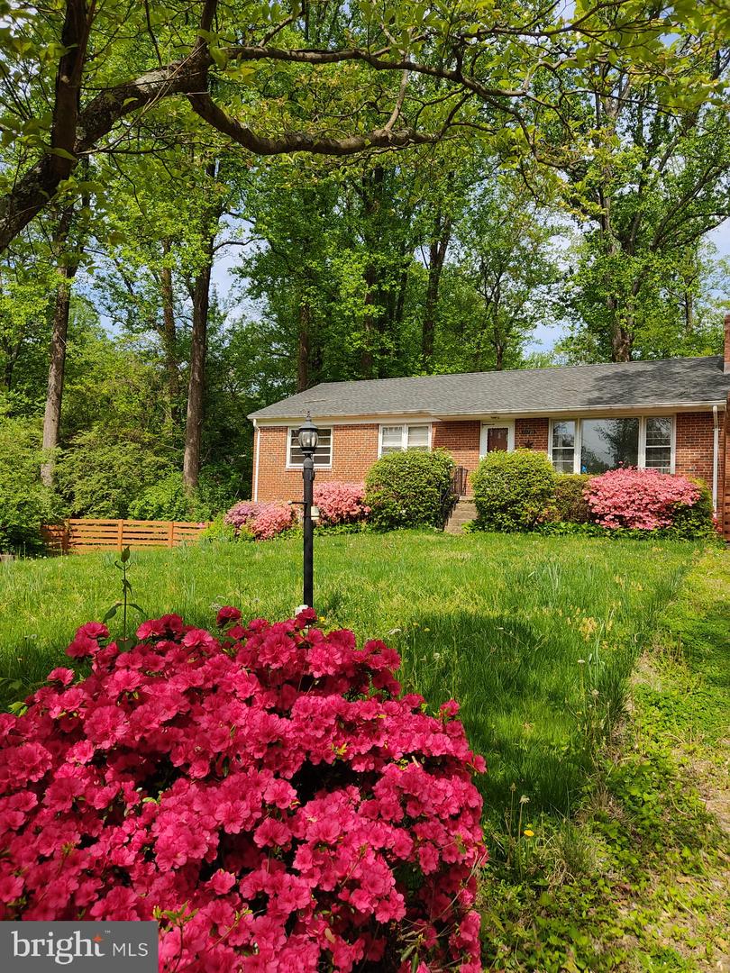 11720 Briggs Ct Property Photo 4