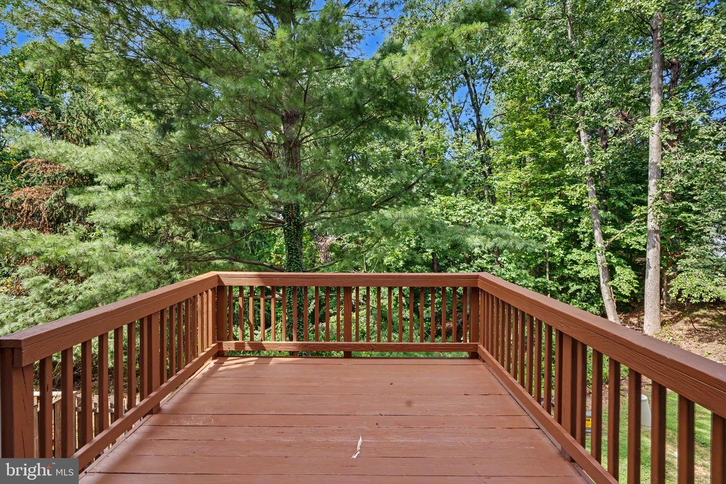 5438 Summer Leaf Ln Property Photo 44