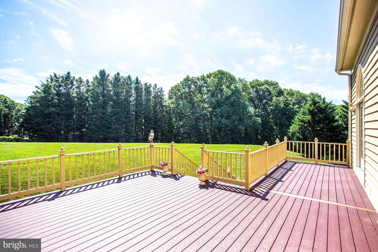 10875 Patowmack Dr Property Photo 63