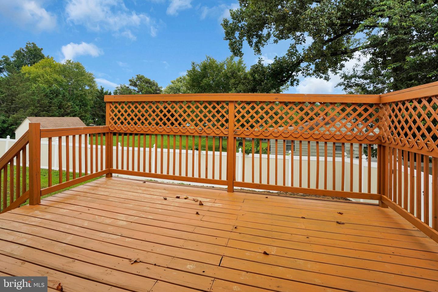 5017 Laburch Ln Property Photo 15