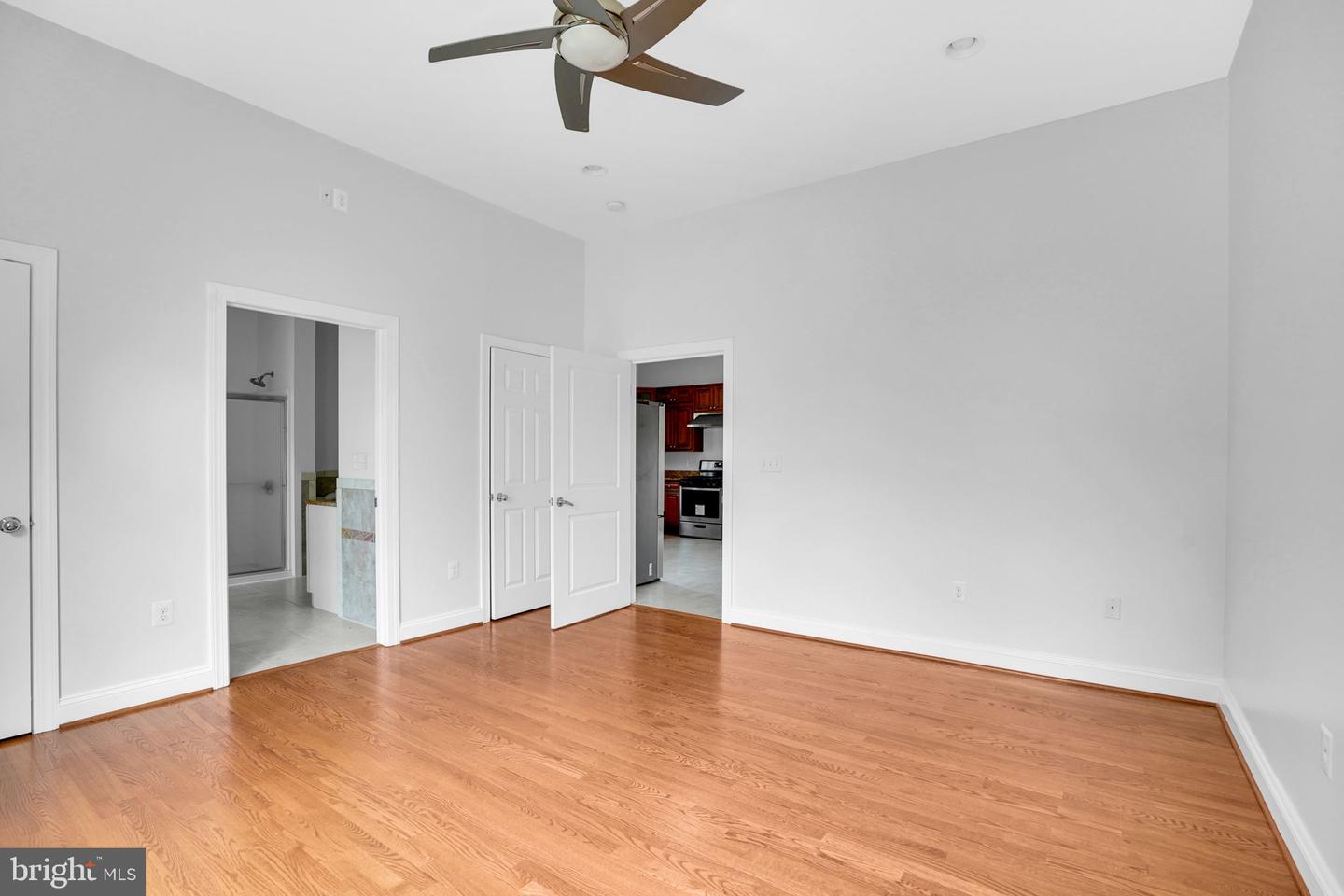5017 Laburch Ln Property Photo 18