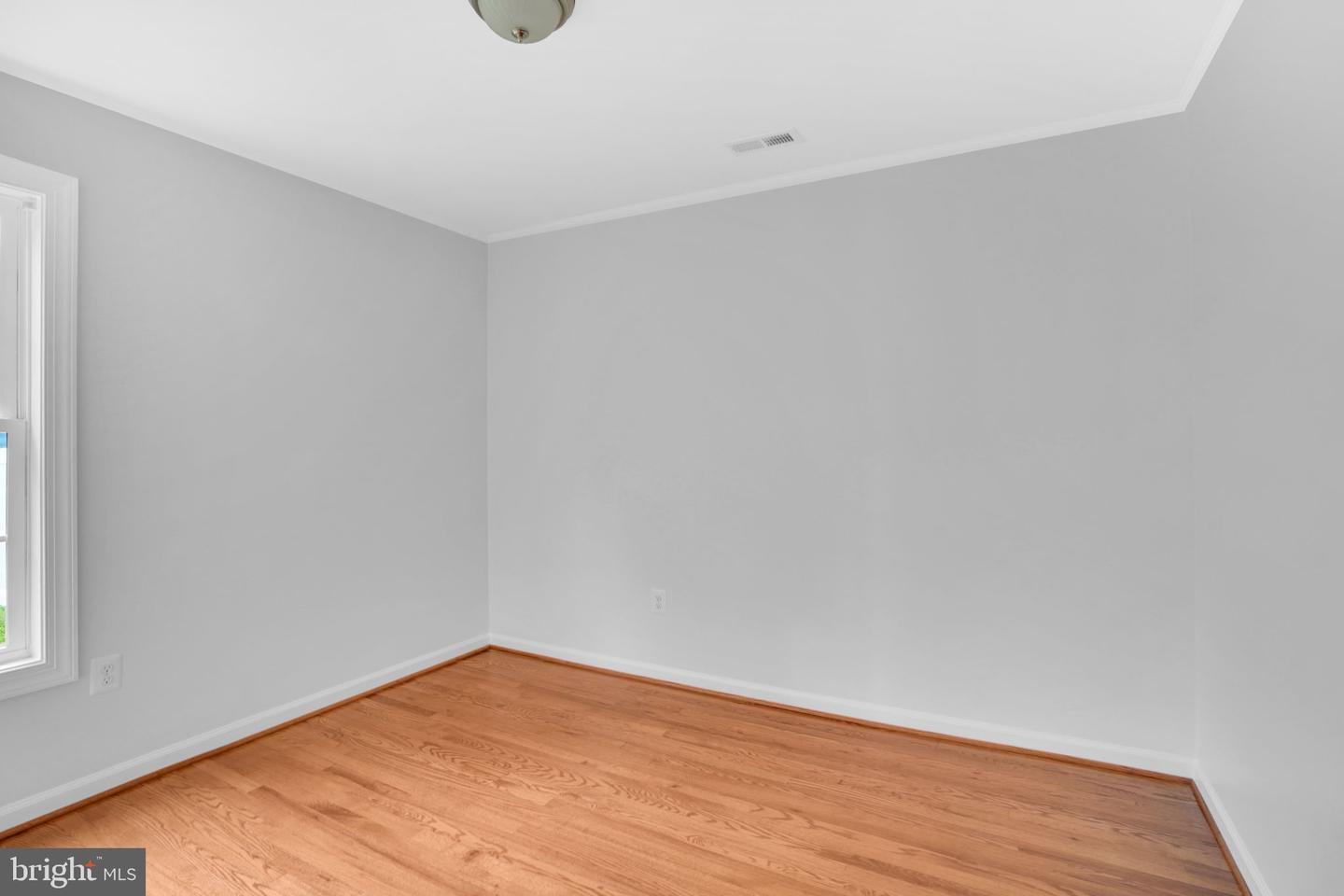 5017 Laburch Ln Property Photo 22