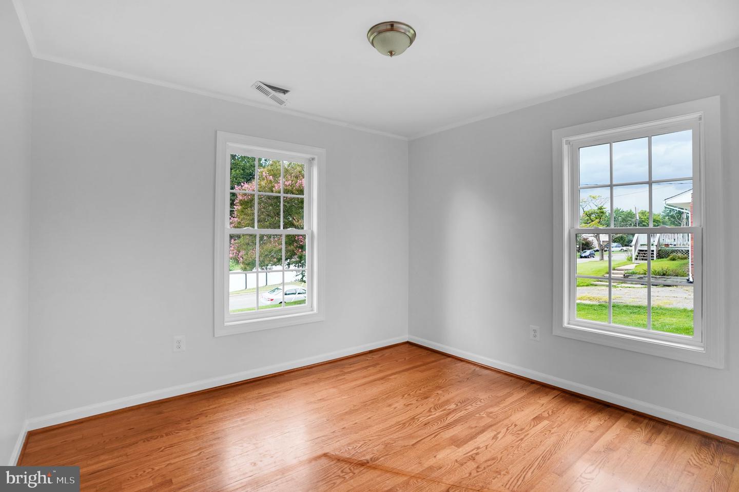 5017 Laburch Ln Property Photo 24
