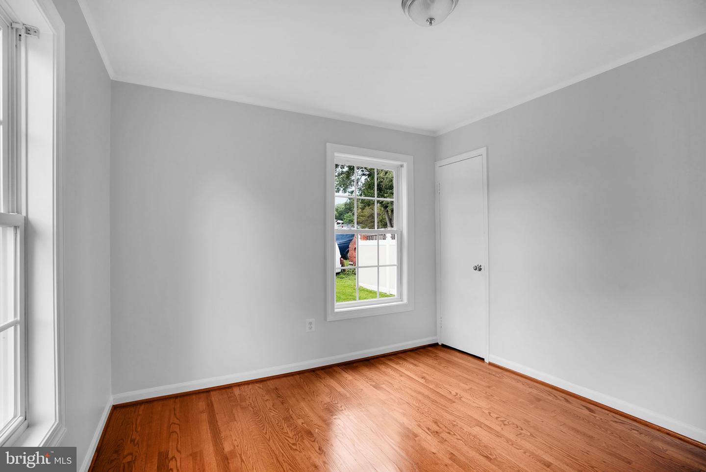 5017 Laburch Ln Property Photo 25