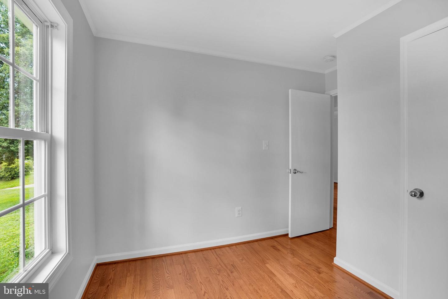 5017 Laburch Ln Property Photo 28