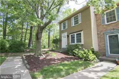 11556 Ivy Bush Ct Property Photo 3