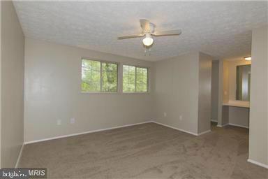 11556 Ivy Bush Ct Property Photo 13