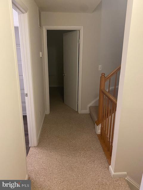 7834 Liberty Springs Cir Property Photo 9