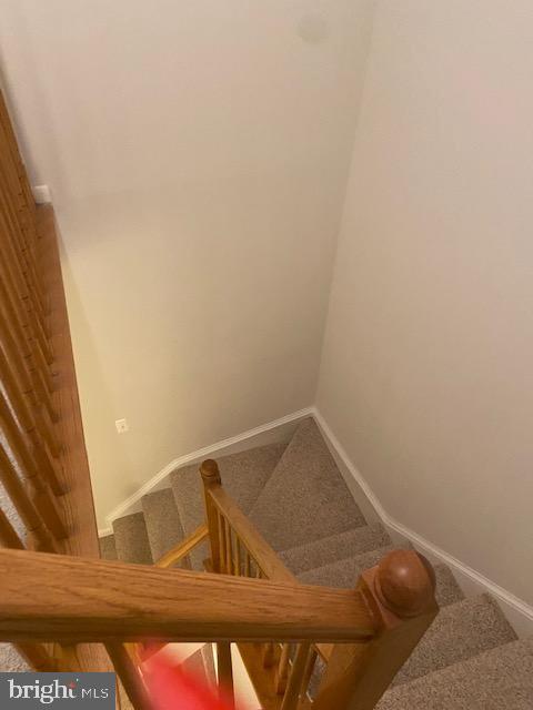 7834 Liberty Springs Cir Property Photo 13
