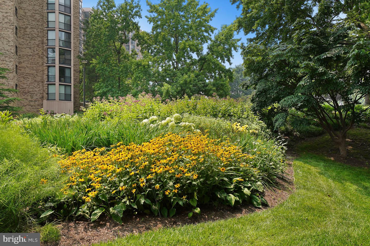 5904 Mount Eagle Dr #711 Property Photo 81