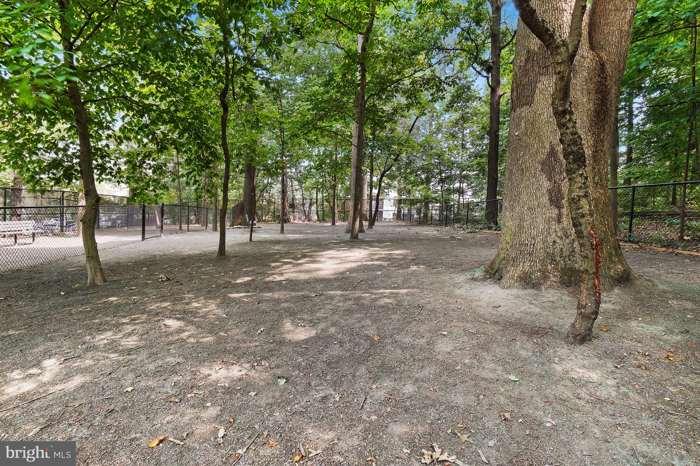 5904 Mount Eagle Dr #711 Property Photo 85