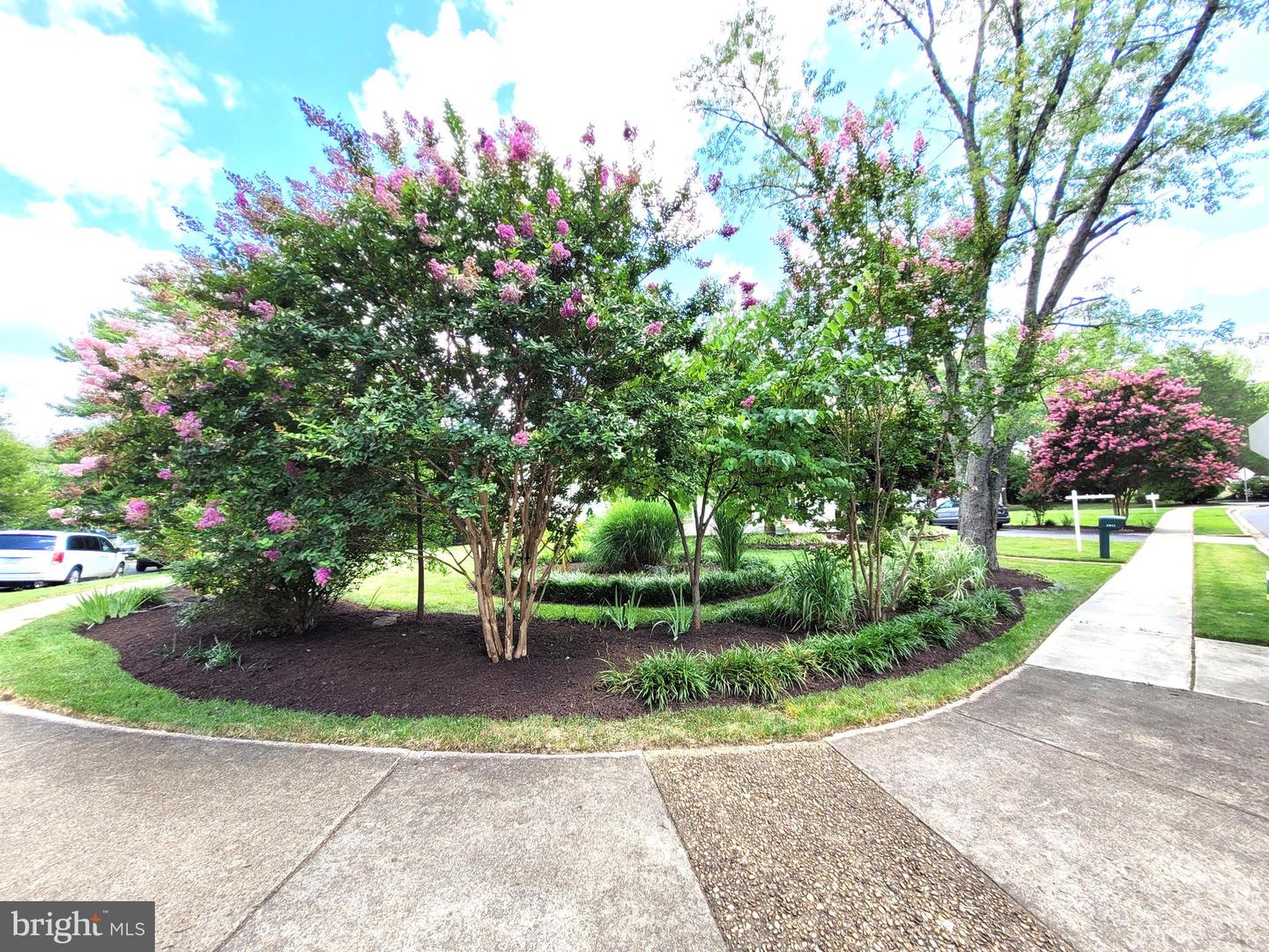 3911 Shelley Ln Property Photo 2