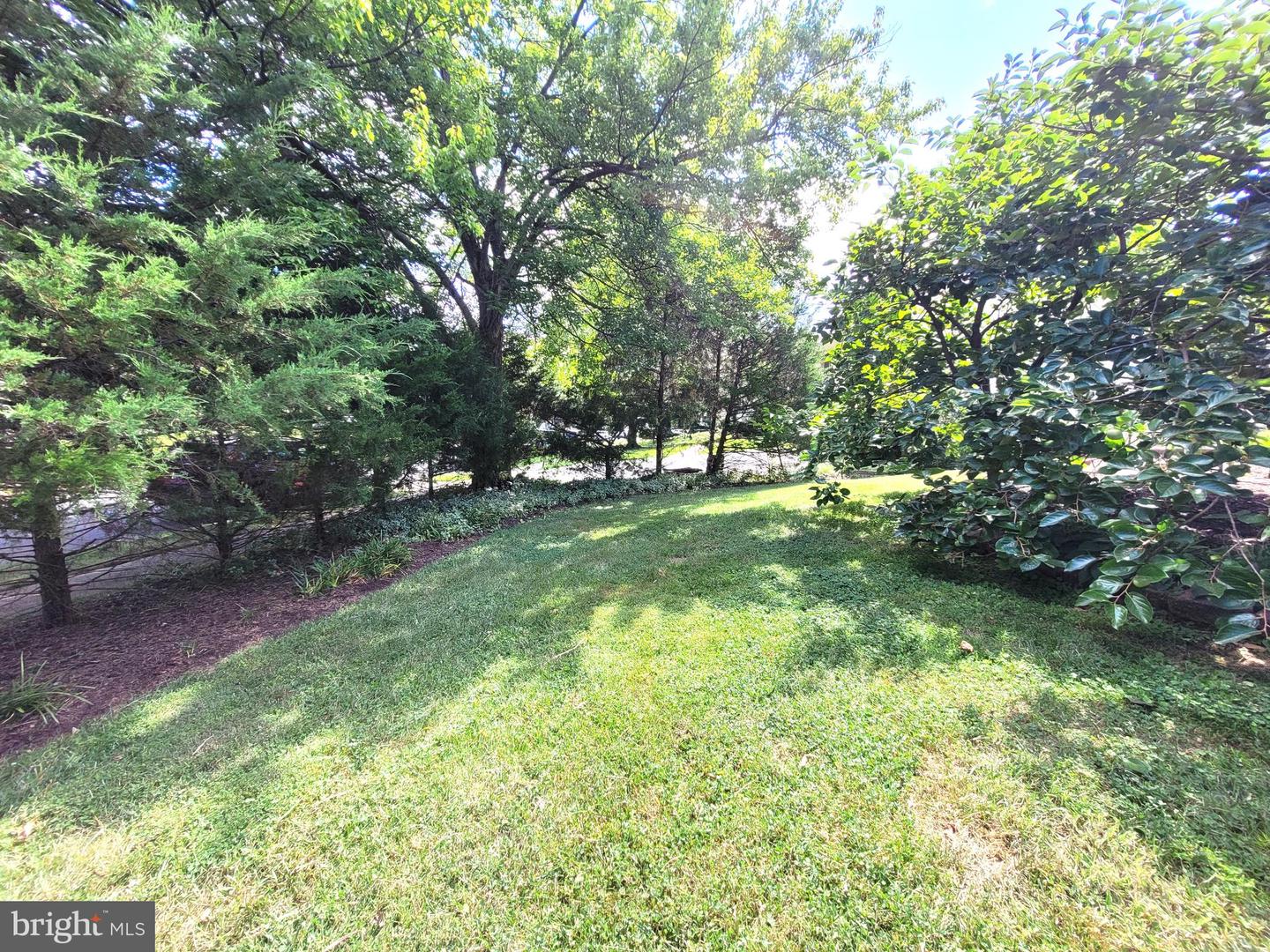 3911 Shelley Ln Property Photo 81