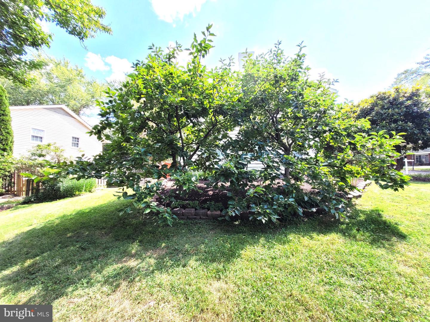 3911 Shelley Ln Property Photo 83
