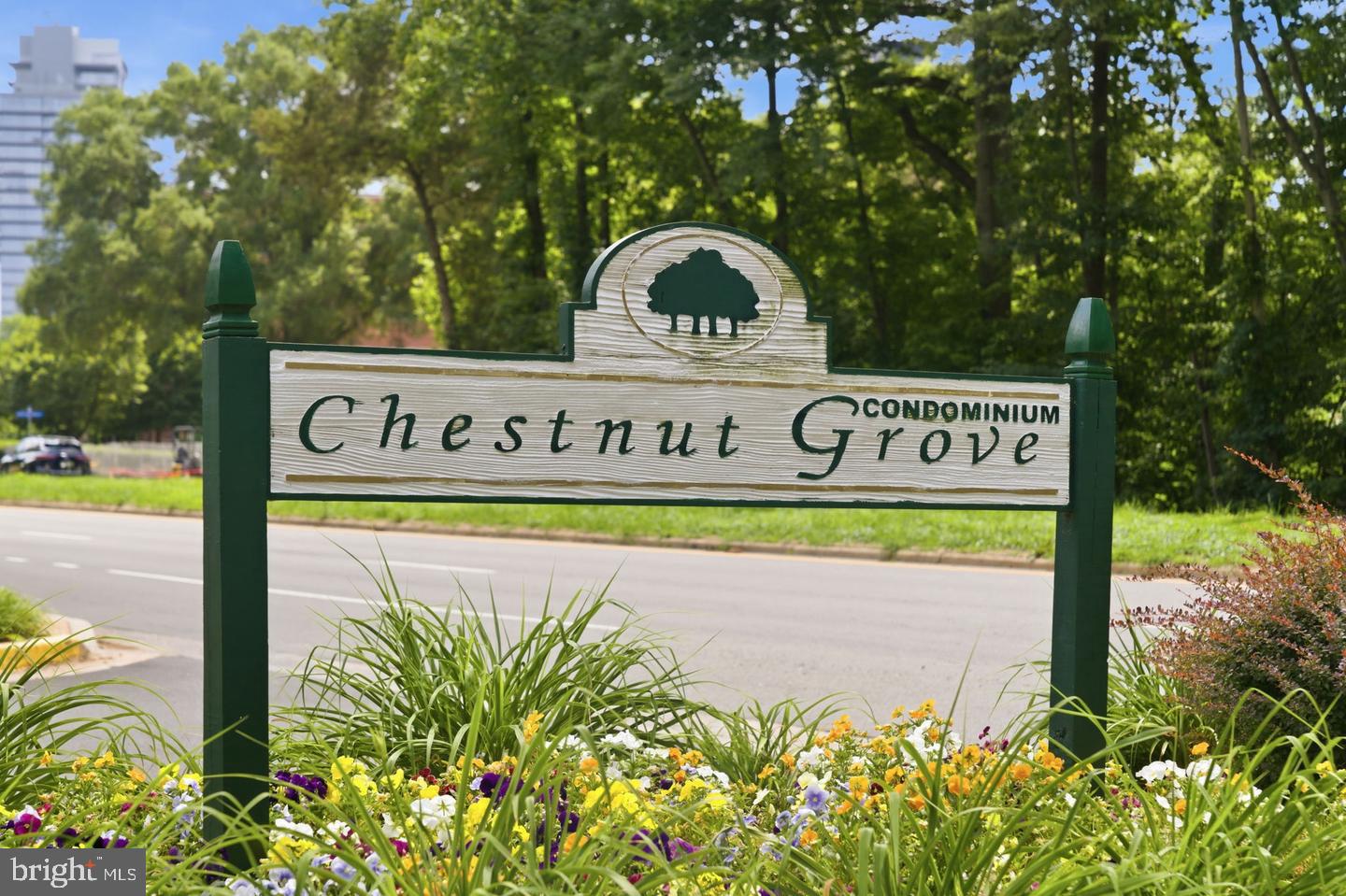 11260 Chestnut Grove Sq #337 Property Photo 67