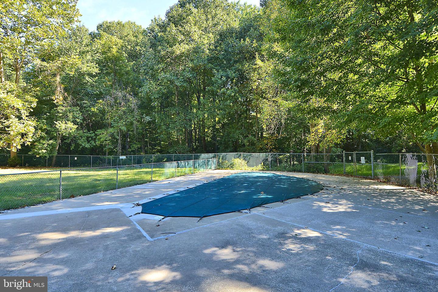 4333 Americana Dr #203 Property Photo 22