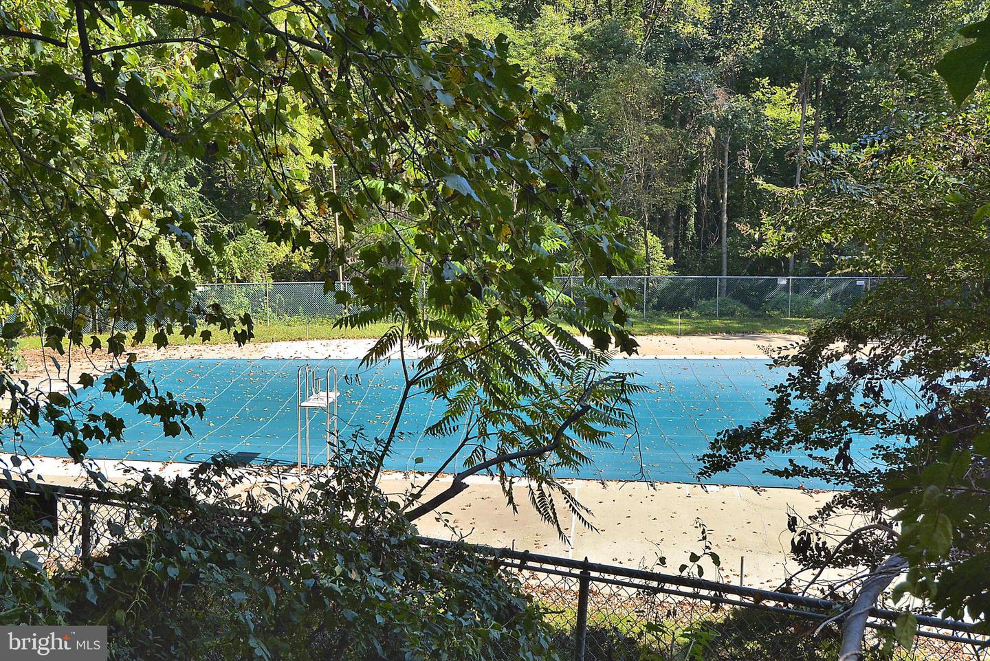 4333 Americana Dr #203 Property Photo 23