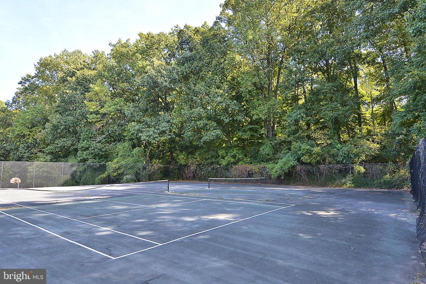 4333 Americana Dr #203 Property Photo 26