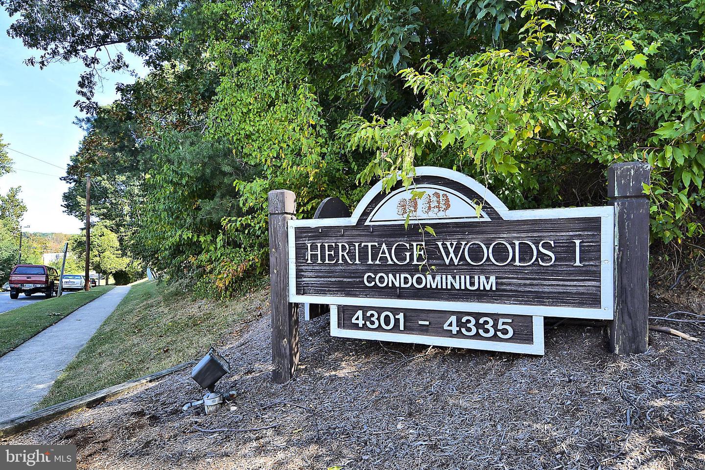 4333 Americana Dr #203 Property Photo 30
