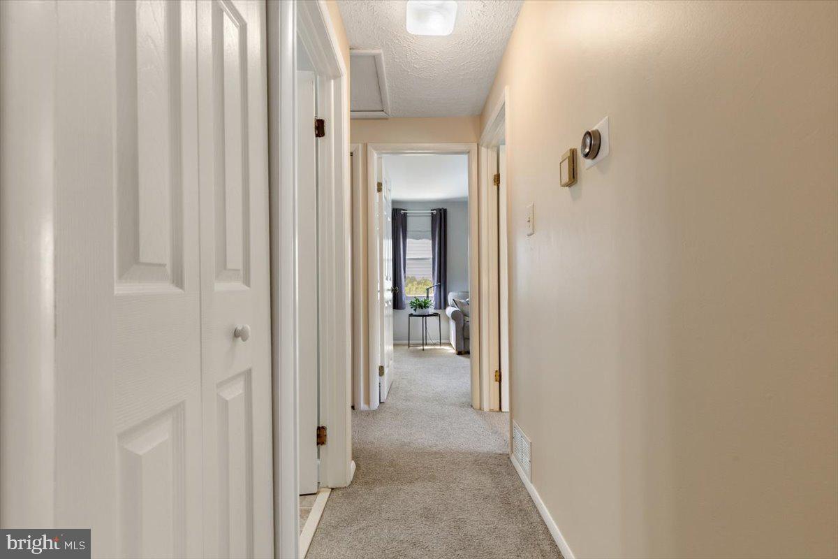2913 Ashdown Forest Dr Property Photo 28
