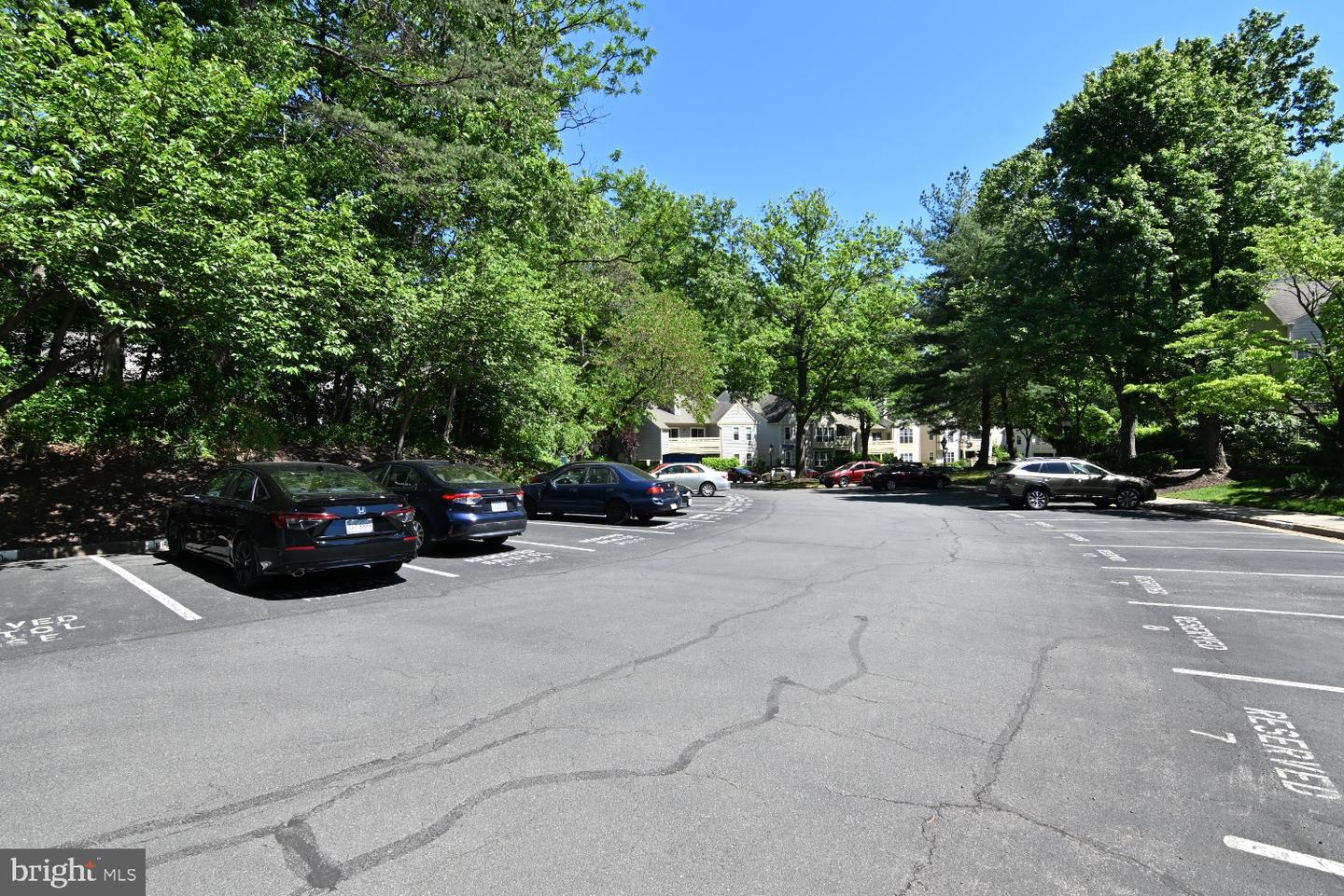 2220 Springwood Dr #unit C Property Photo 79