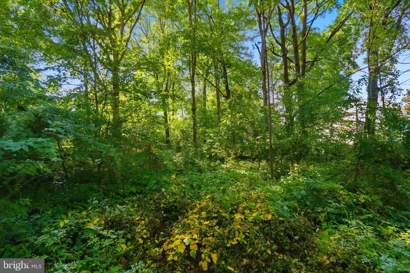9812 Summerday Dr Property Photo 38