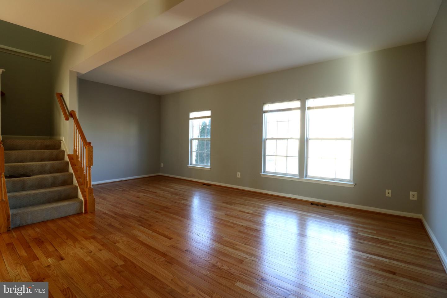 2581 Sutters Mill Dr Property Photo 17
