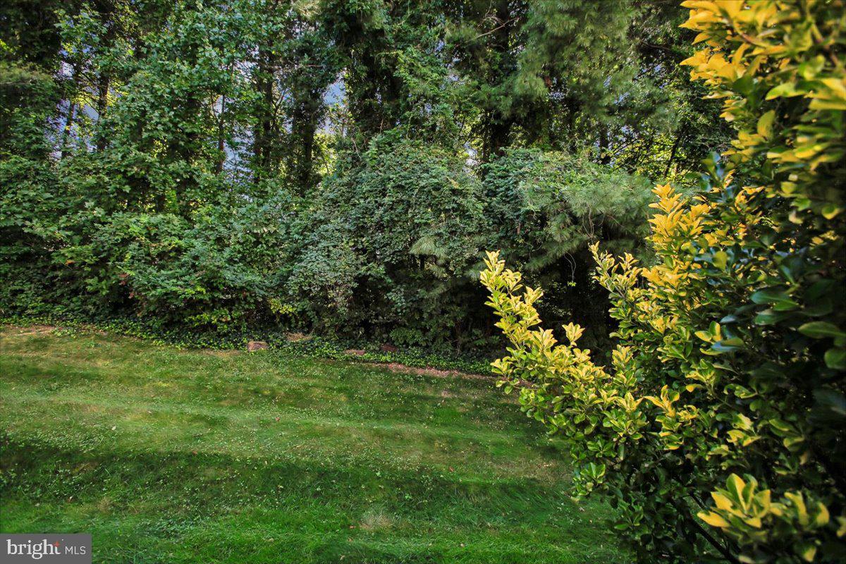 6039 Heatherwood Dr Property Photo 48