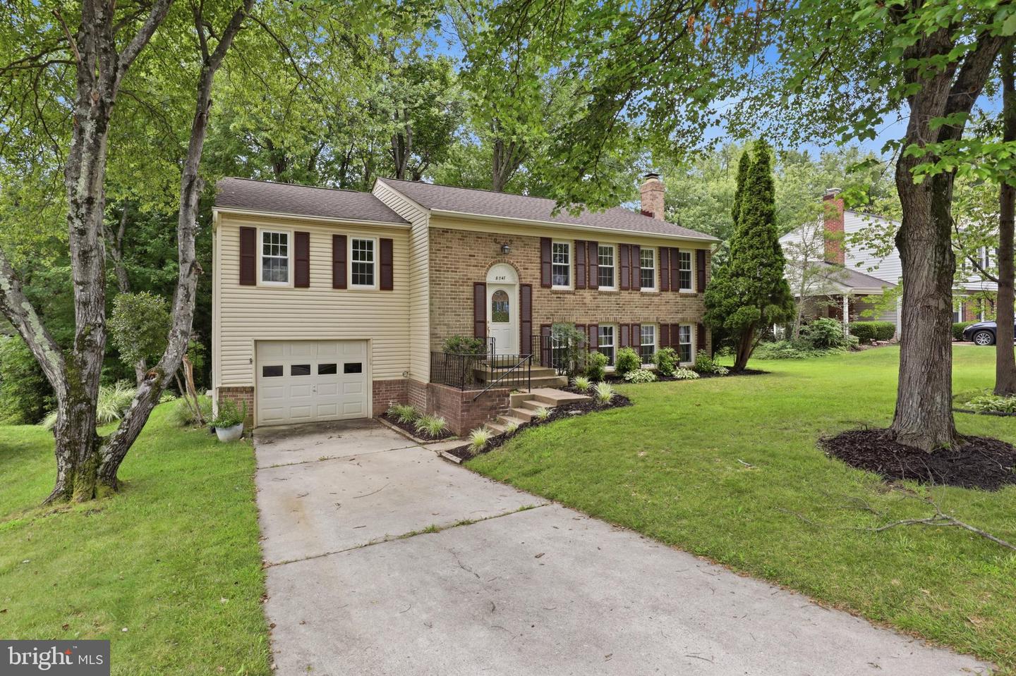 8747 Arley Dr Property Photo 4