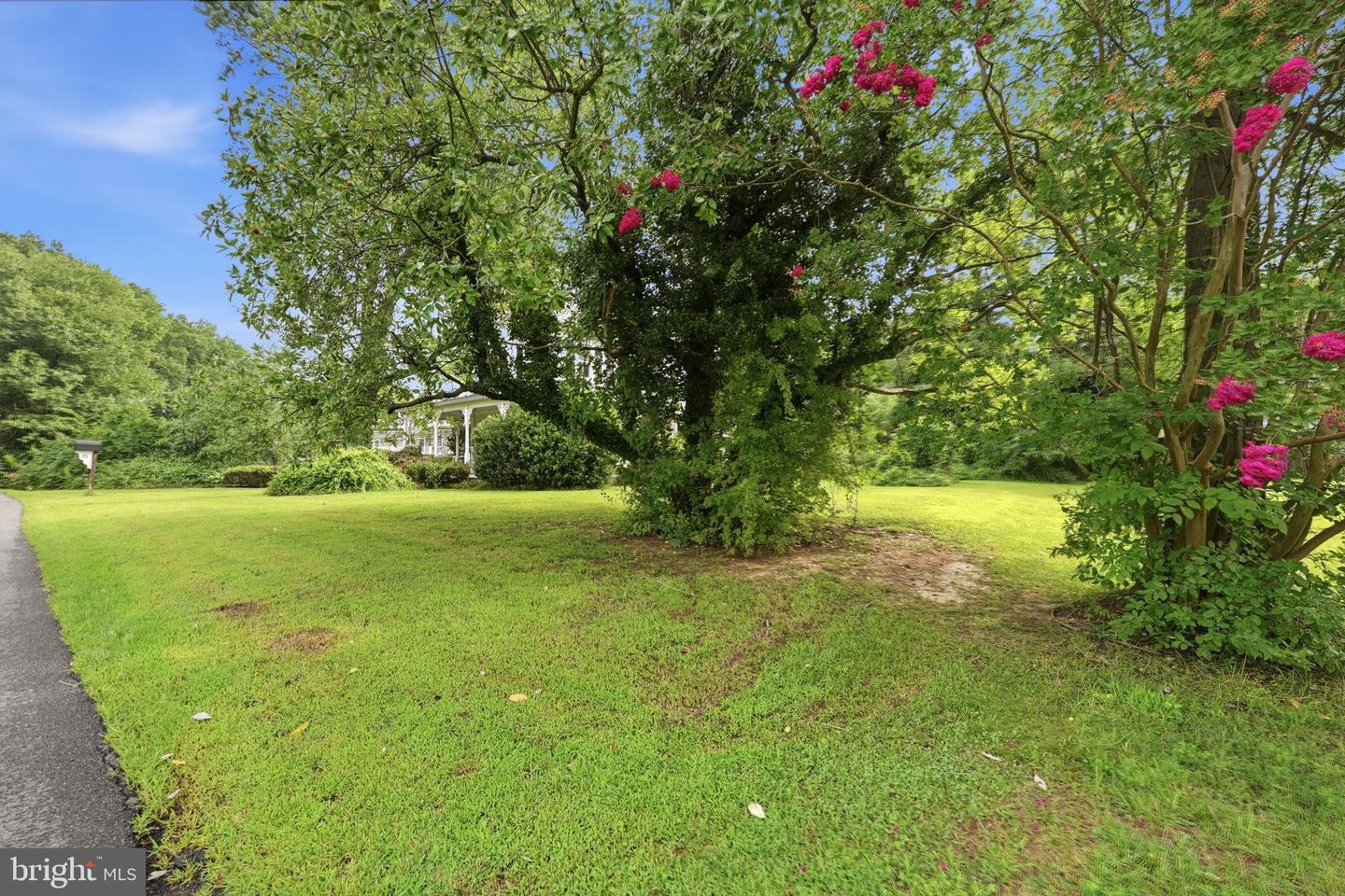 1313 Ingleside Ave Property Photo 11