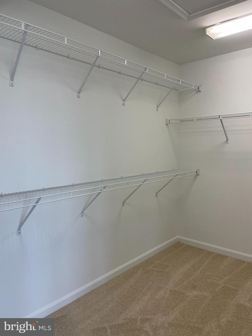 2953 Finsbury Pl #96 Property Photo 29