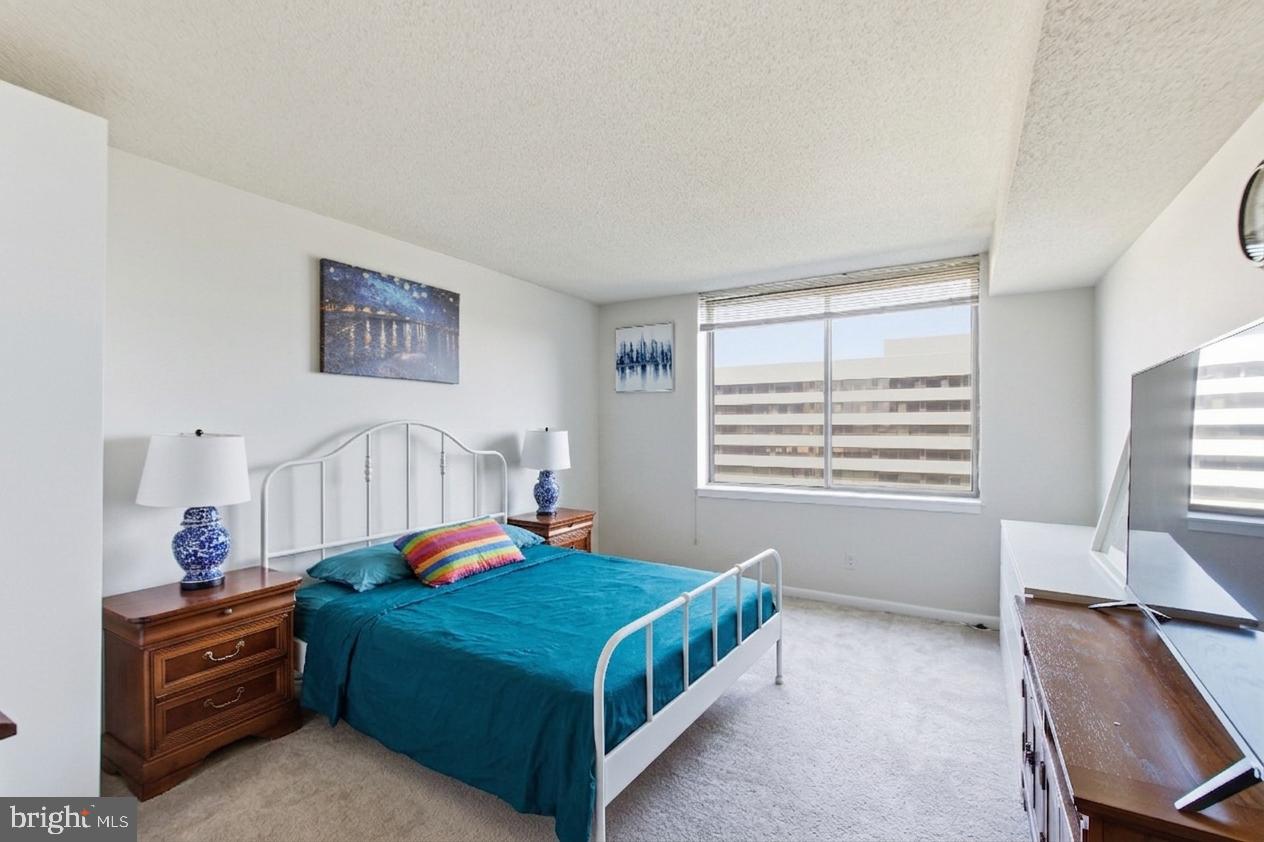 3709 South George Mason Dr #1115e Property Photo 18