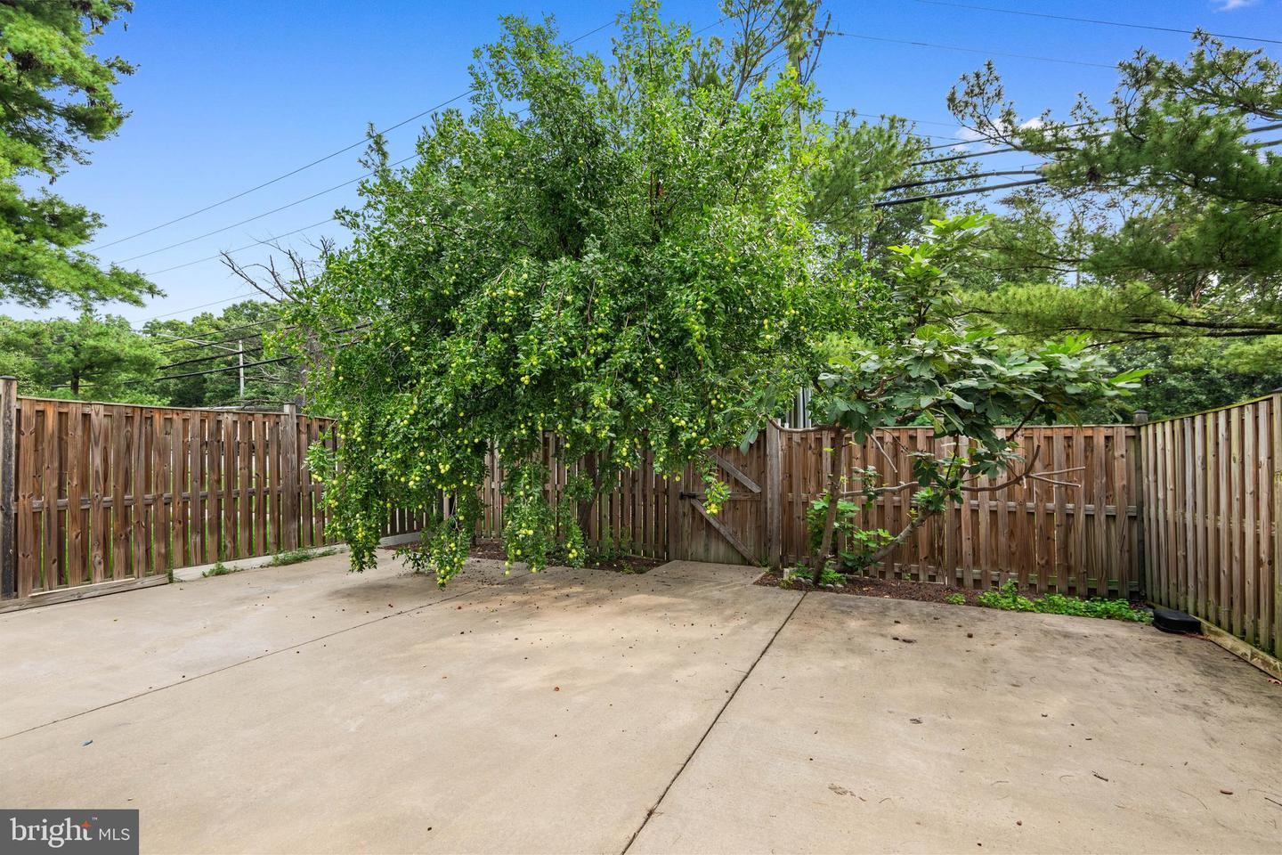 8063 Dulciana Ct Property Photo 28