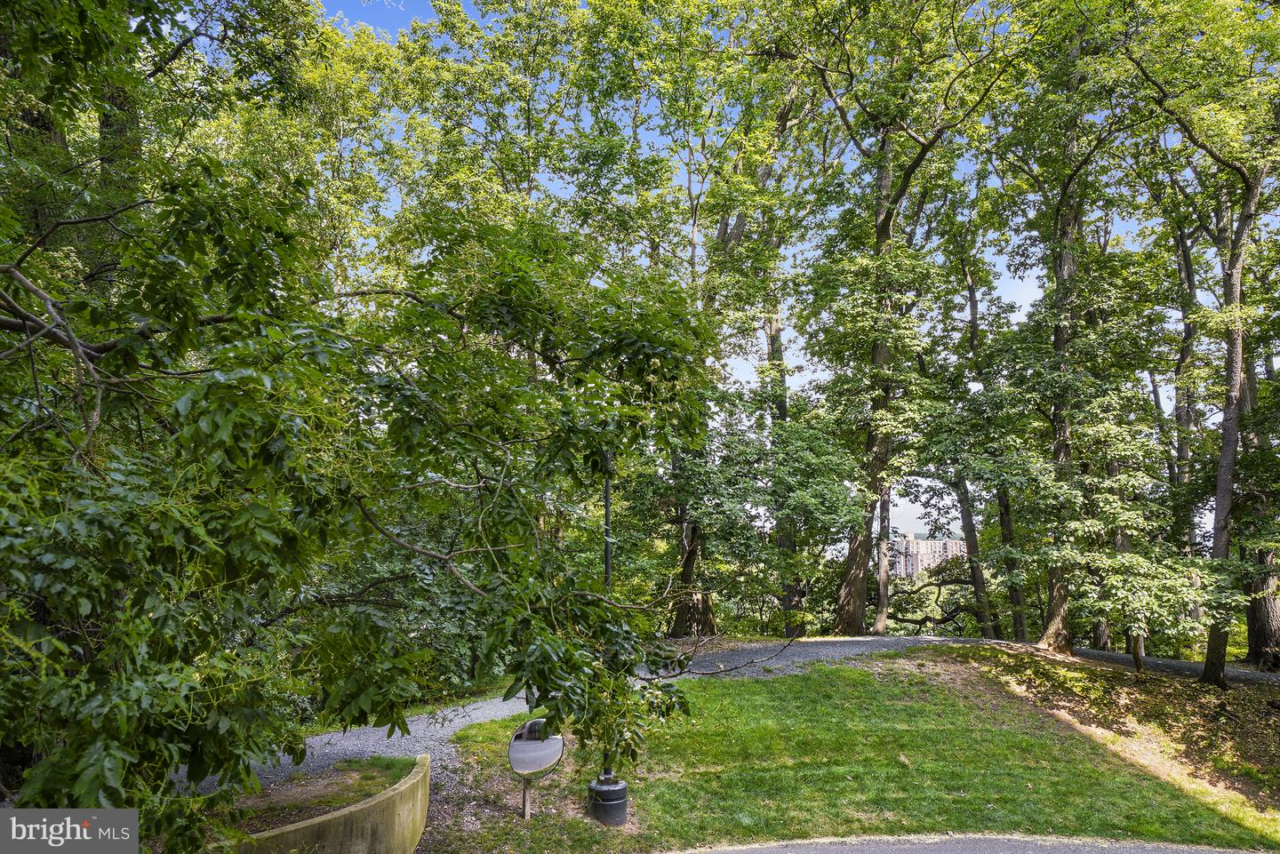 5901 Mount Eagle Dr #108 Property Photo 29