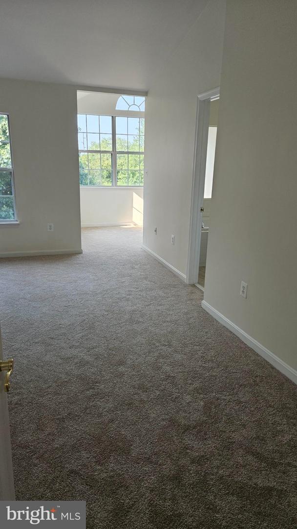 6852 Drifton Ct Property Photo 19