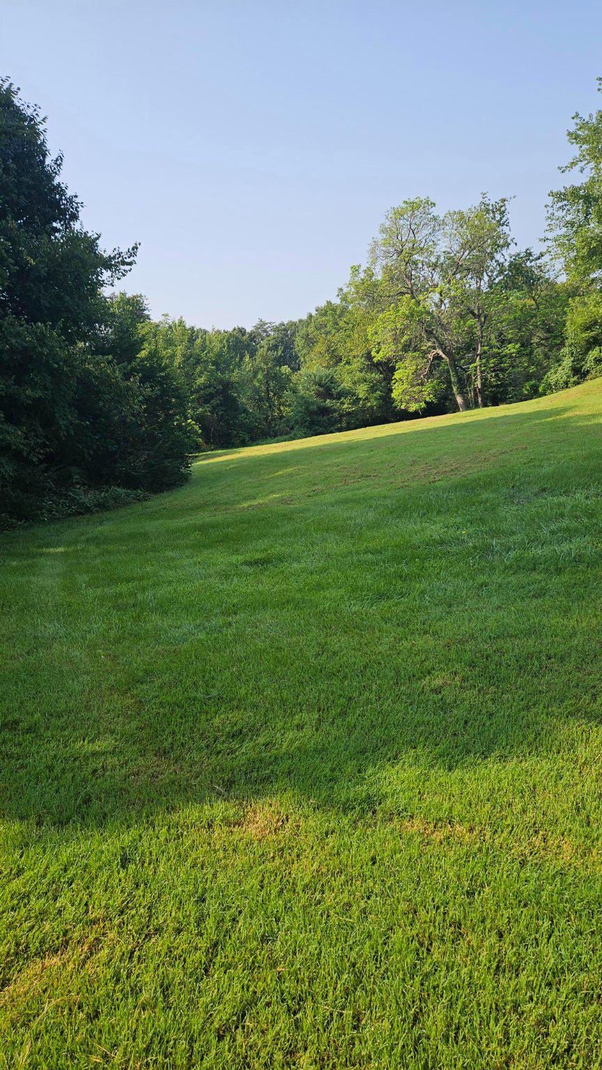6852 Drifton Ct Property Photo 30
