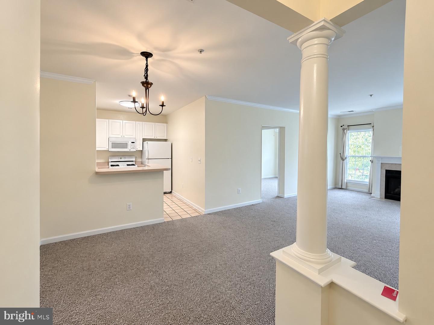 7000 Falls Reach Dr #209 Property Photo 3