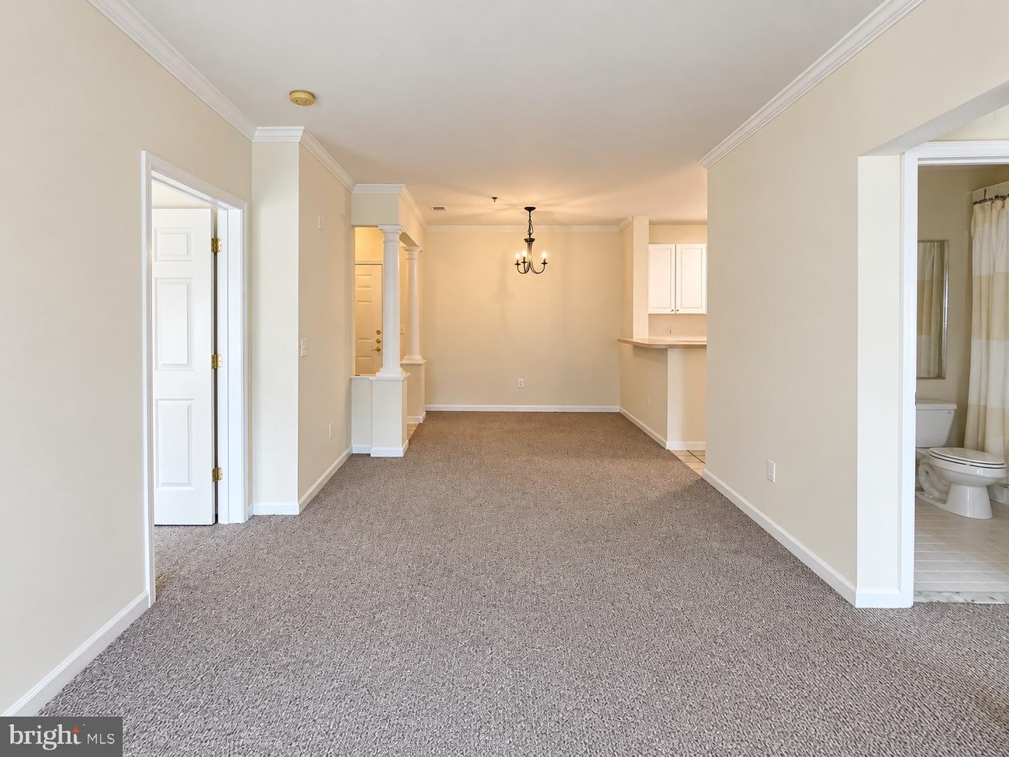 7000 Falls Reach Dr #209 Property Photo 6