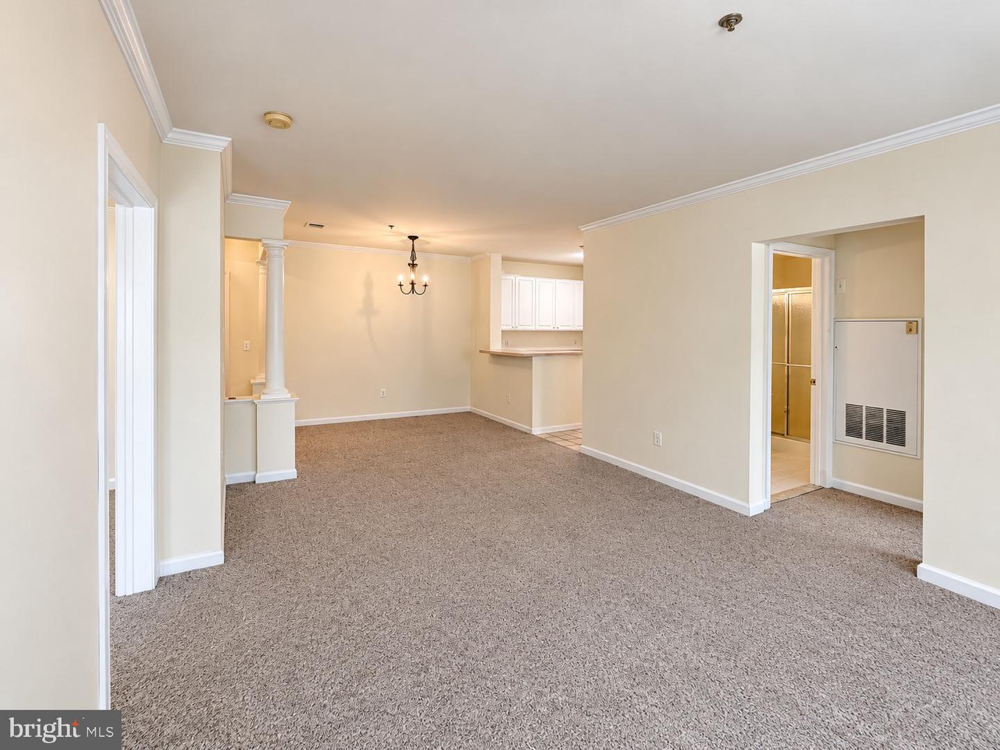 7000 Falls Reach Dr #209 Property Photo 7