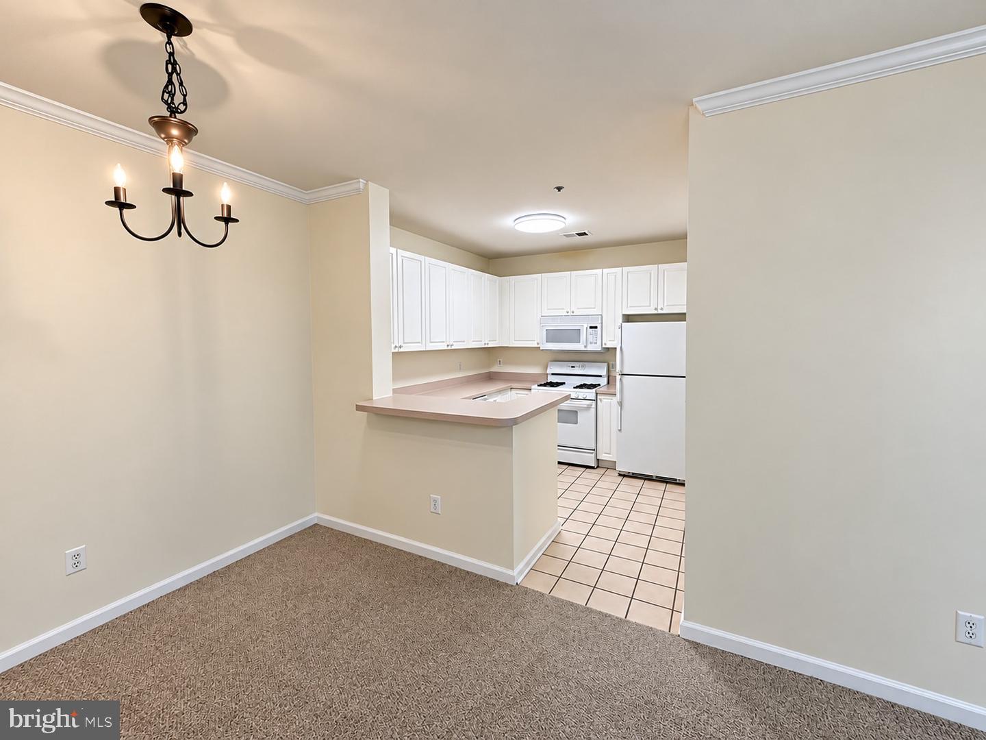 7000 Falls Reach Dr #209 Property Photo 12