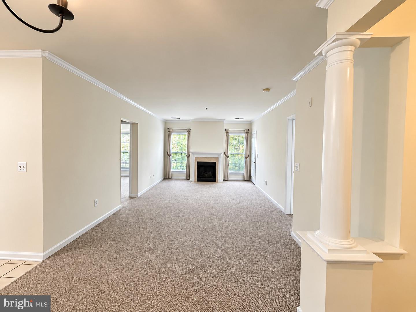 7000 Falls Reach Dr #209 Property Photo 26