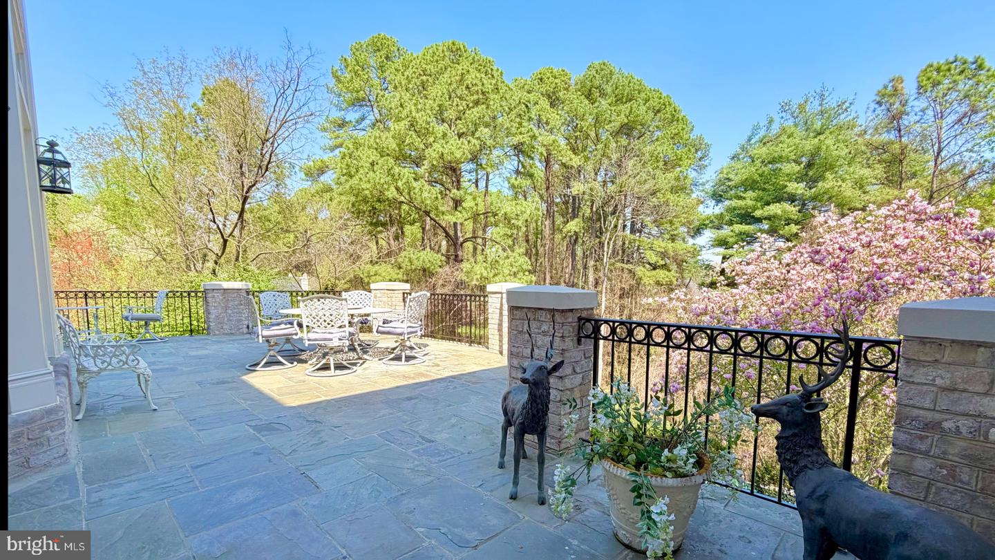 1289 Ballantrae Farm Dr Property Photo 35